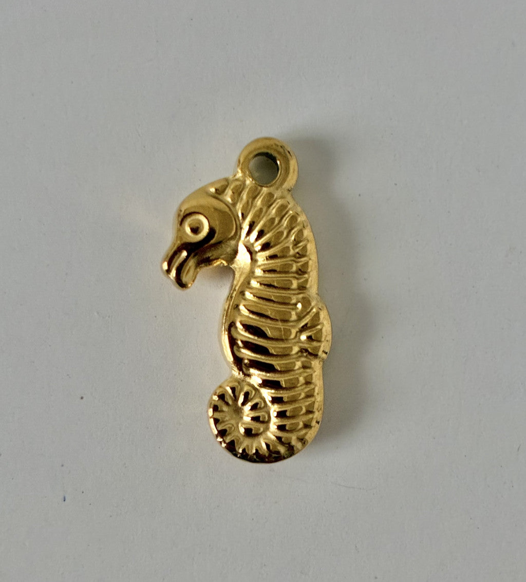 Hippocampe