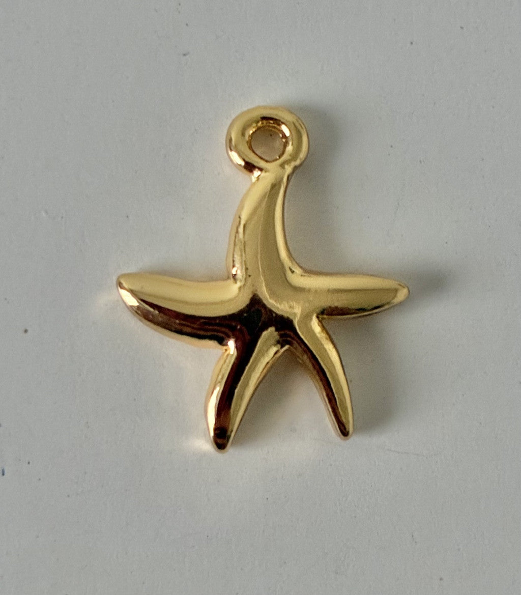 Étoile de plage