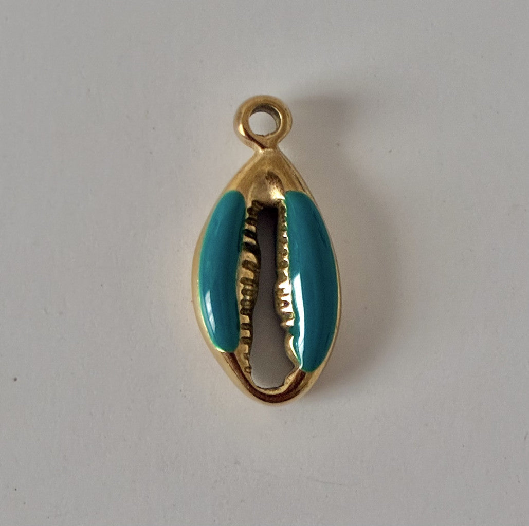 Coquillage turquoise