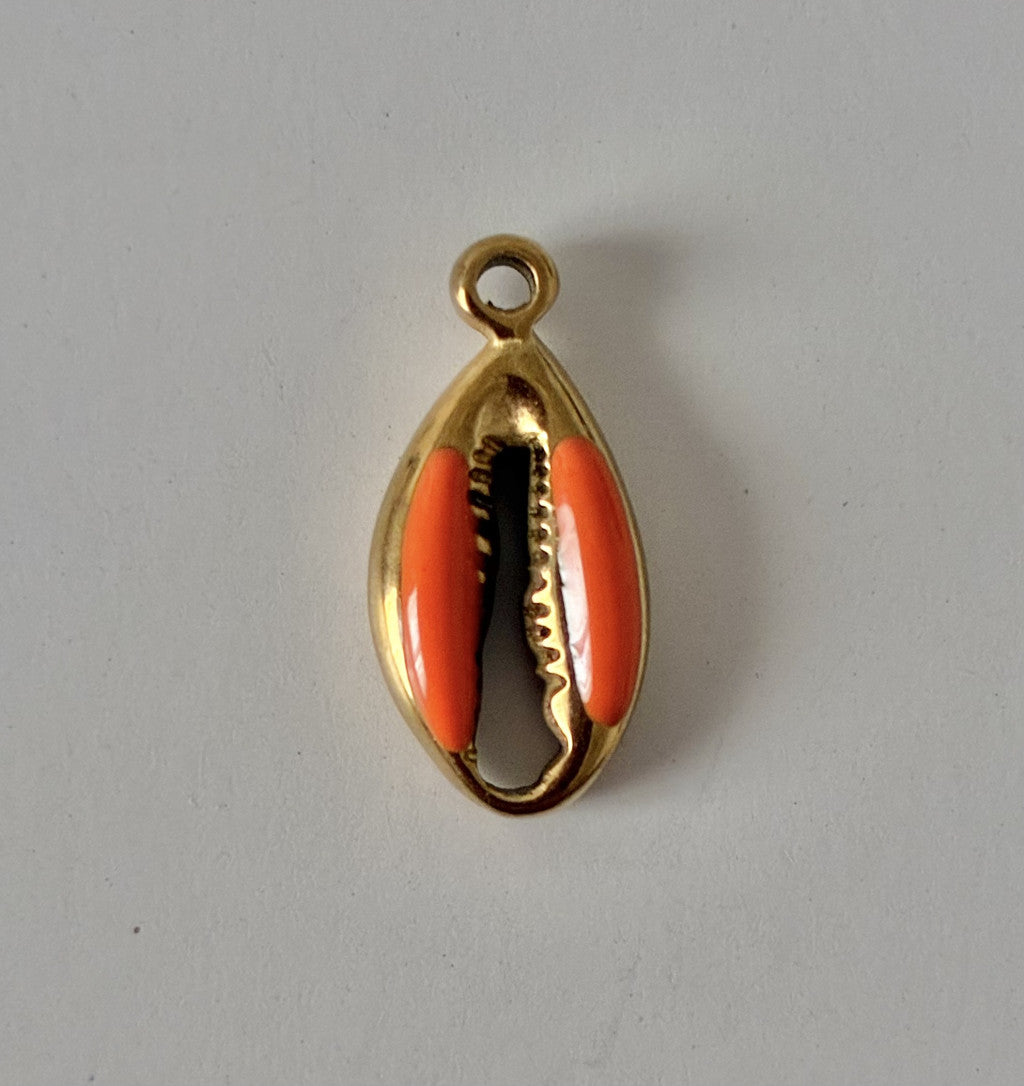 Coquillage orange