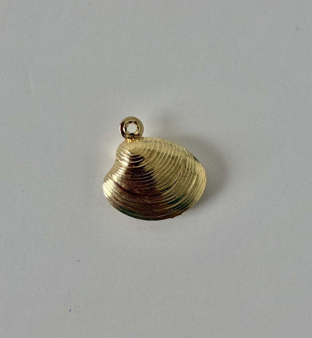 Moyen coquillage