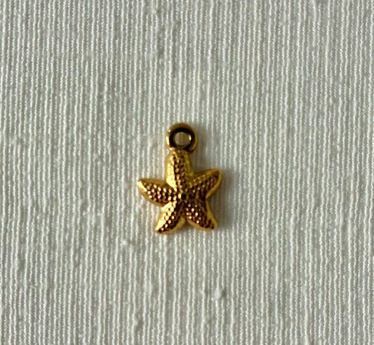 Petite étoile de mer