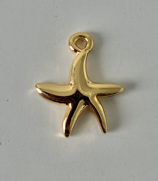 Étoile de plage