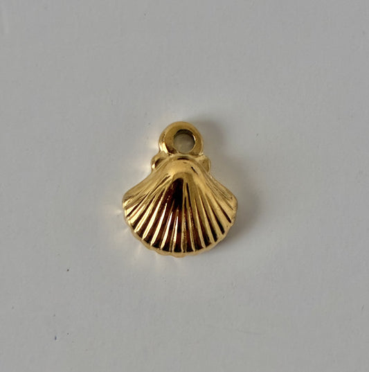 Petit coquillage