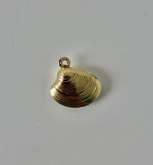 Moyen coquillage